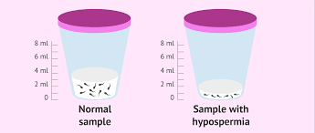 Serivce Image